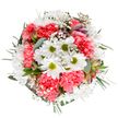 This bouquet radiates with the joyful colors of Harlesden in spring, crafted with artistry by the team at Florist Harlesden and inspired by the energetic character of the local streets and parks. At the heart are lively white daisies with sunny green centers, symbols of pure happiness and echoing the light-filled lawns of Roundwood Park. Ruffles of coral-pink carnations sweep through the design, their inviting tones as welcoming as the greetings exchanged at the corner of Harrow Road and Park Parade. Wispy gypsophila lends a magical softness, floating like a veil of mist above the arrangement and softening every transition. Subtle alstroemeria buds edged with gentle purples hint at the florist's vision for growth and new beginnings, while silvery eucalyptus and lustrous dark greens anchor the bouquet and imbue it with a peaceful, fresh scent. The overall composition is airy but abundant, filled with optimism and a sense of celebration-ideal for marking birthdays, anniversaries, or delivering a bright moment of kindness to someone living in Harlesden. Each bloom is hand-selected with care, ensuring the bouquet not only reflects the area's vibrancy but also the warmth of its community, delivered fresh and brimming with local spirit.